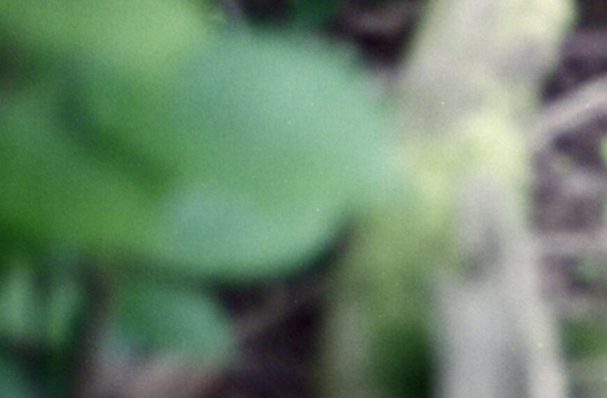 DIY Tape-Loops | 30.10.+20.11.24